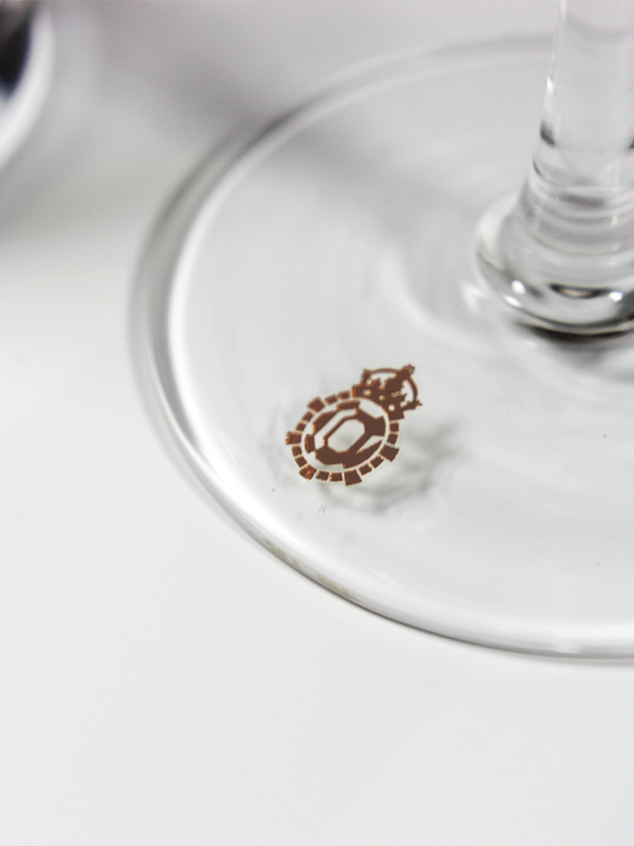 Bombay Sapphire Martini Cocktail Glass Set